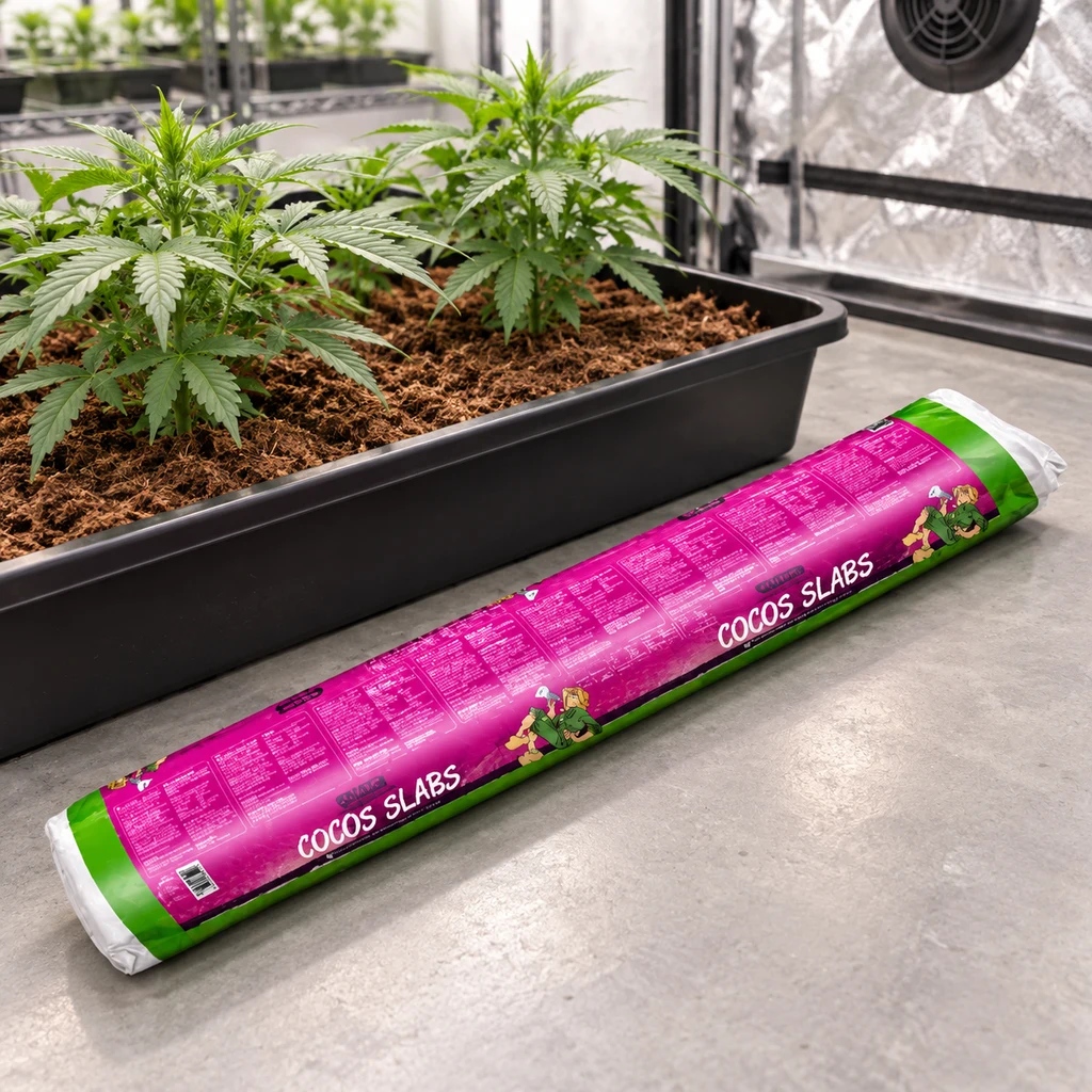 Envase alargado de baldosas de coco Atami B'cuzz, rosa y verde, junto a una jardinera con plantas en un espacio de cultivo interior. Envase alargado de baldosas de coco Atami B'cuzz, rosa y verde, junto a una jardinera con plantas en un espacio de cultivo interior.