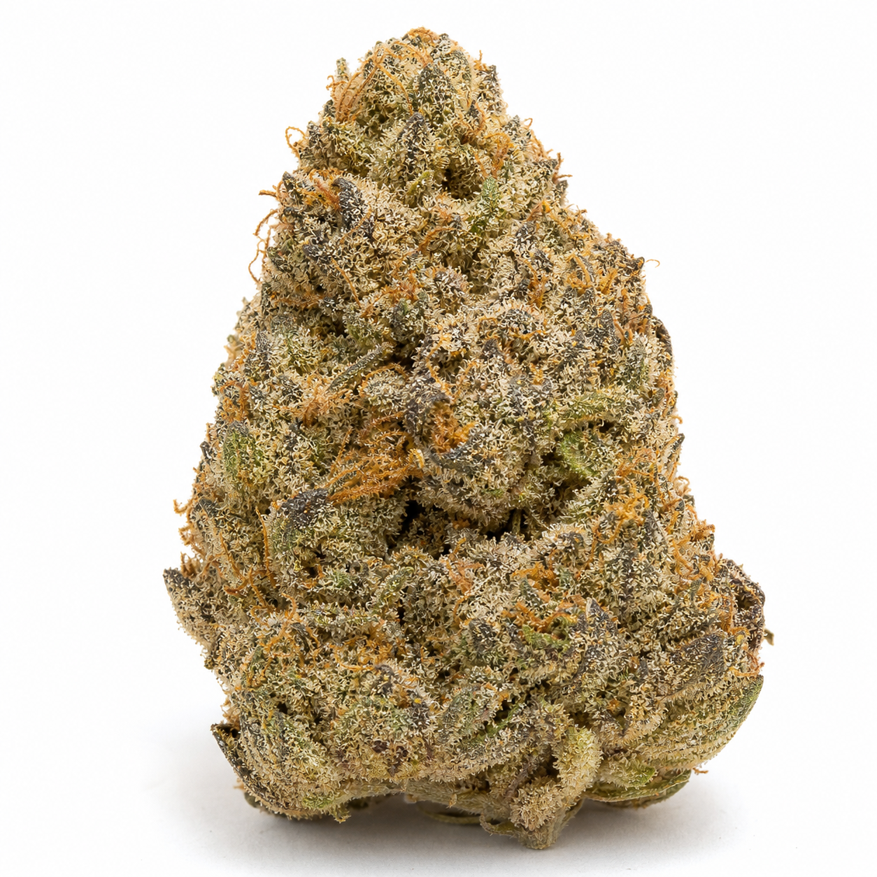 Cogollo de Highway 66 de Paradise Seeds sobre fondo blanco, de forma cónica, con tonos verdes y oscuros, pistilos naranjas y tricomas.