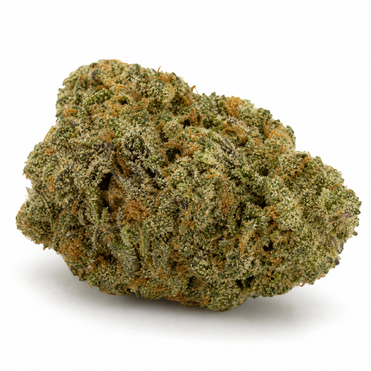 Cogollo de Hindu Kush Auto de Bulk Seeds sobre fondo blanco, de forma compacta y ancha, con tonos verdes y filamentos anaranjados.
