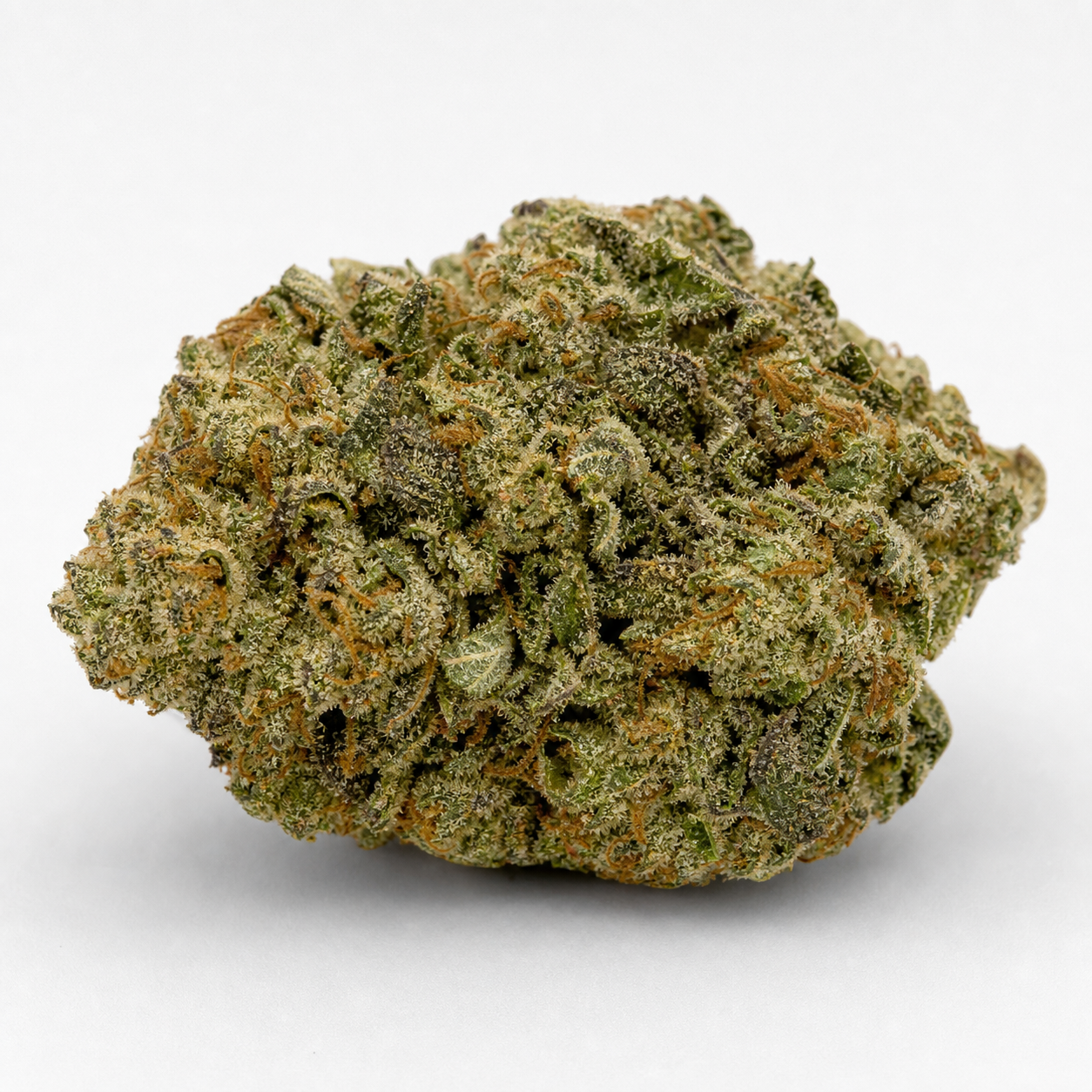 Cogollo de Hindu Kush® Feminizada, de forma ancha y compacta, con hojas verdes, filamentos anaranjados y superficie blanquecina.