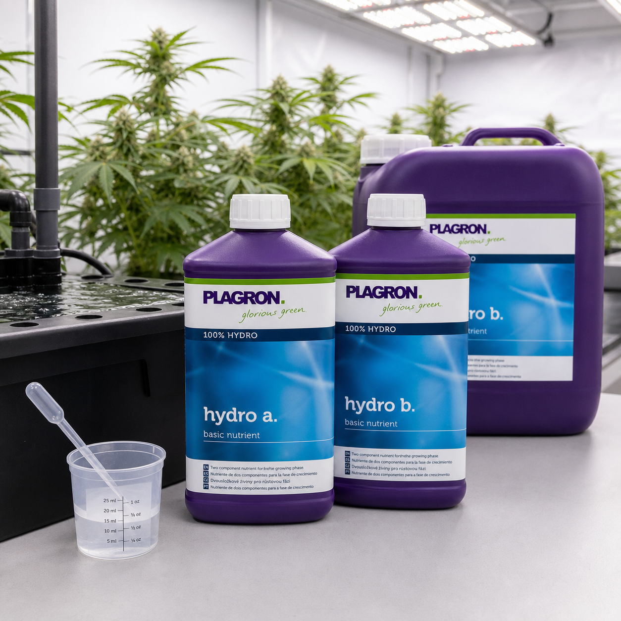 Envases morados de Hydro A+B Plagron junto a un vaso medidor y una pipeta, con plantas y un sistema hidropónico al fondo.
