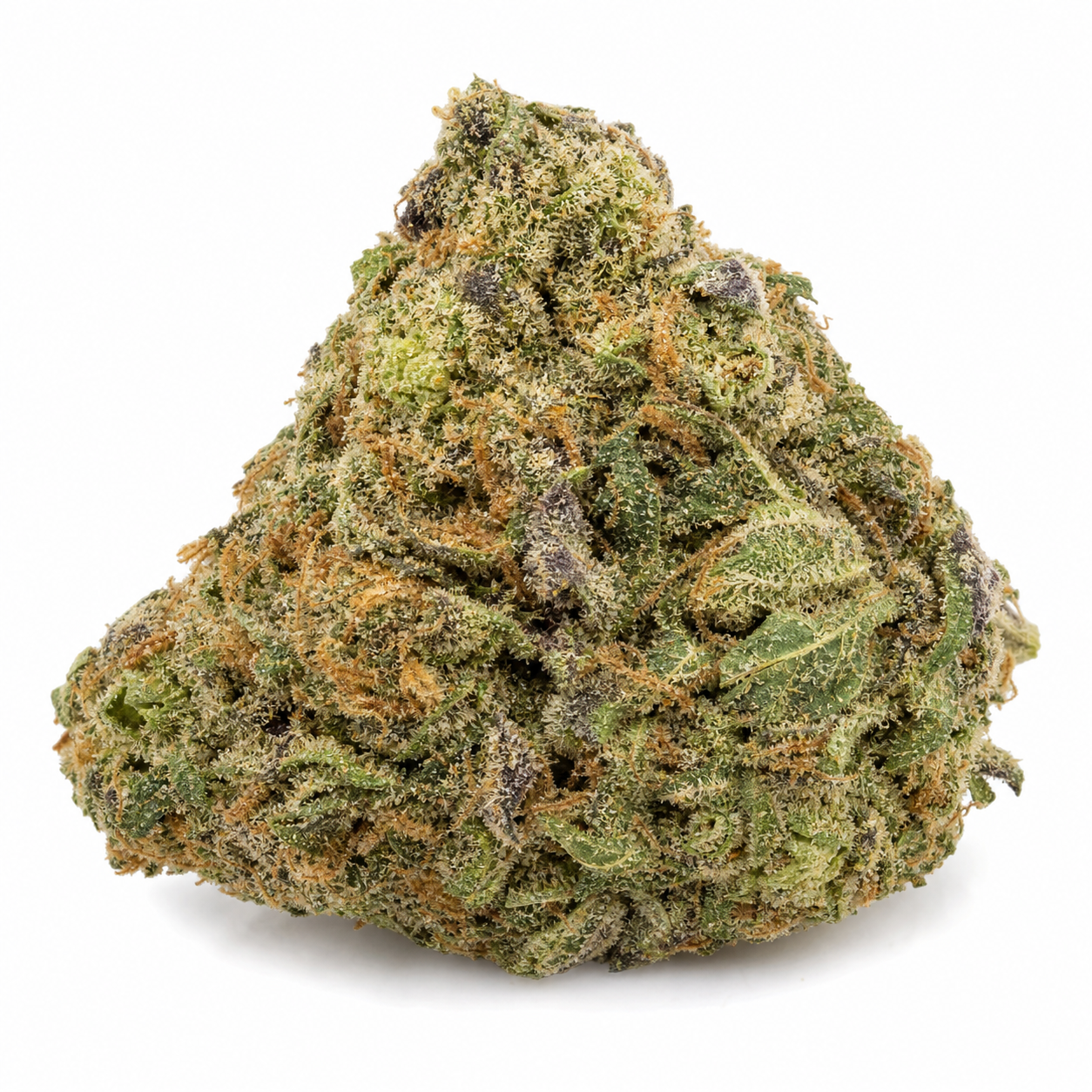 Cogollo de Jack Herer Auto de Green House Seeds sobre fondo blanco, con forma ancha, hojas verdes y moradas y pistilos anaranjados.