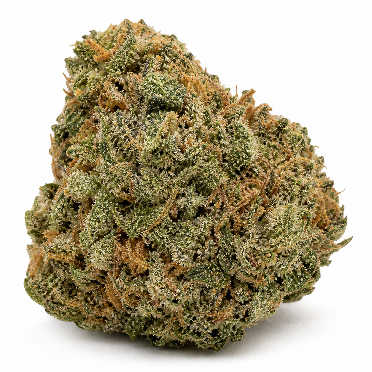 Cogollo de Jack Herer CBD Autofloreciente en primer plano, con tonos verdes, pistilos anaranjados y tricomas visibles sobre fondo blanco.
