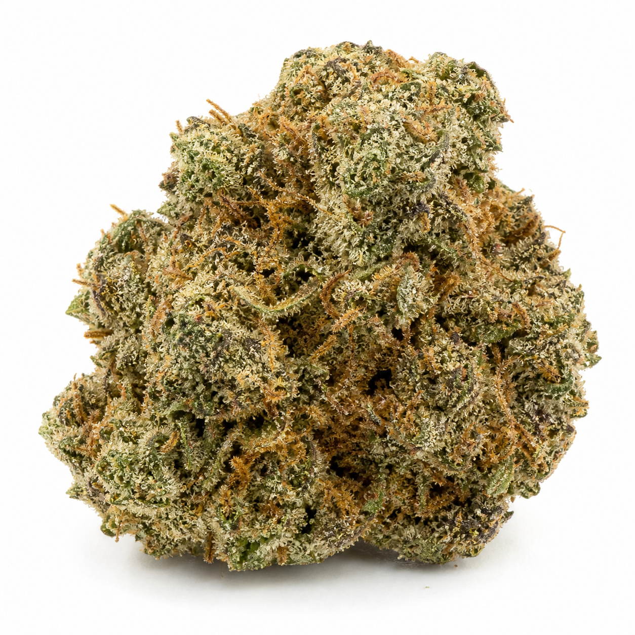 Cogollo de Jack Herer Regular de PEV Seeds en primer plano, con hojas verdes, pistilos anaranjados y abundante cobertura cristalina.