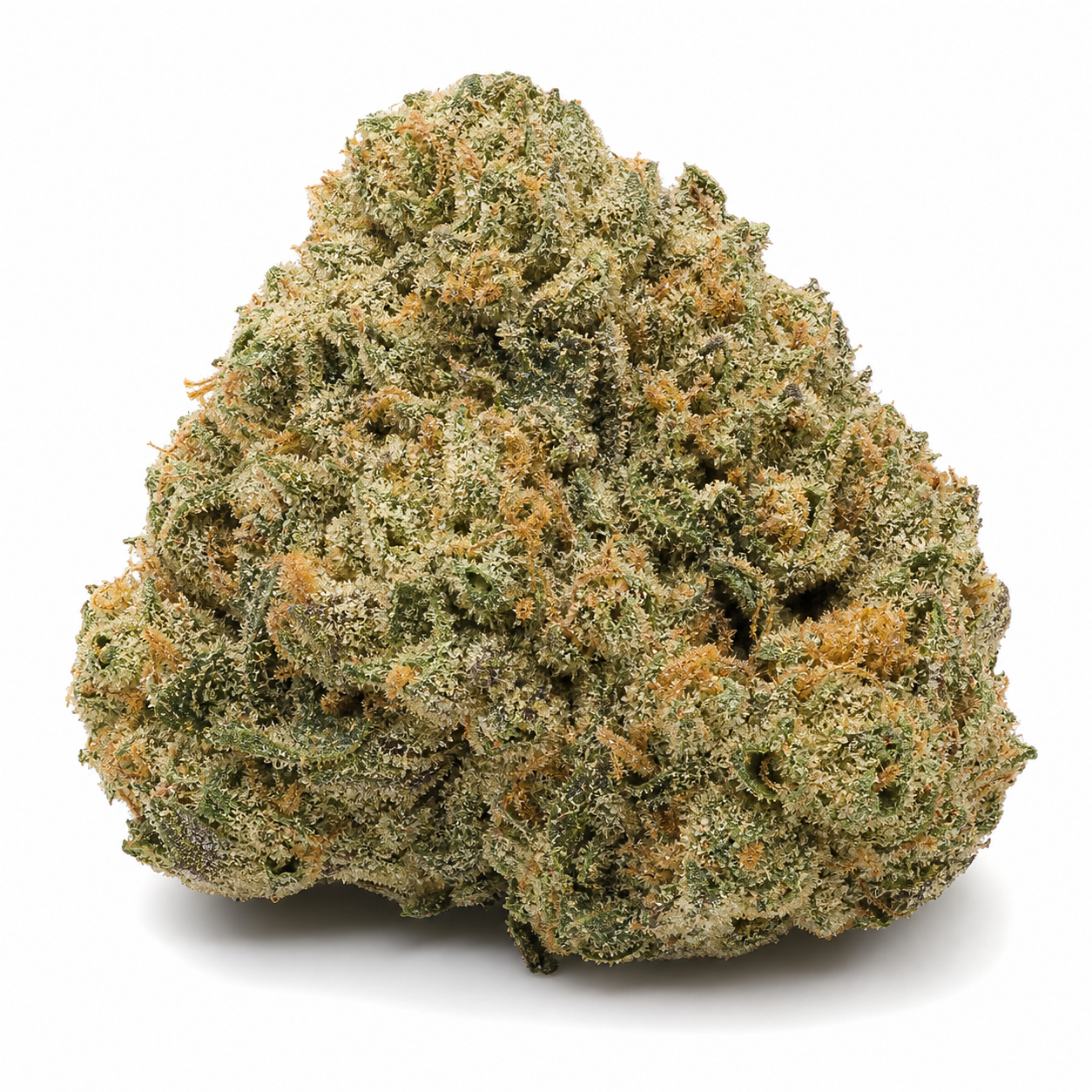 Cogollo de Jack Herer Feminizada de Vision Seeds, de forma compacta, verde y con filamentos anaranjados sobre fondo blanco.