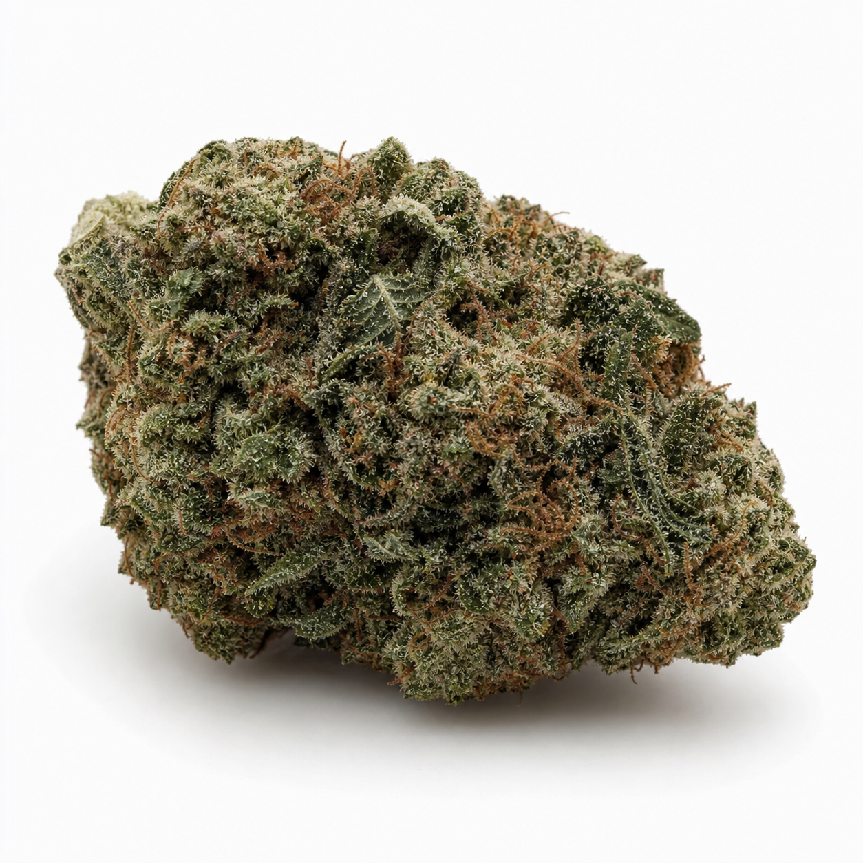 Cogollo de Jack La Mota de Medical Seeds sobre fondo blanco, con hojas verdes, filamentos anaranjados y abundantes puntos blanquecinos.