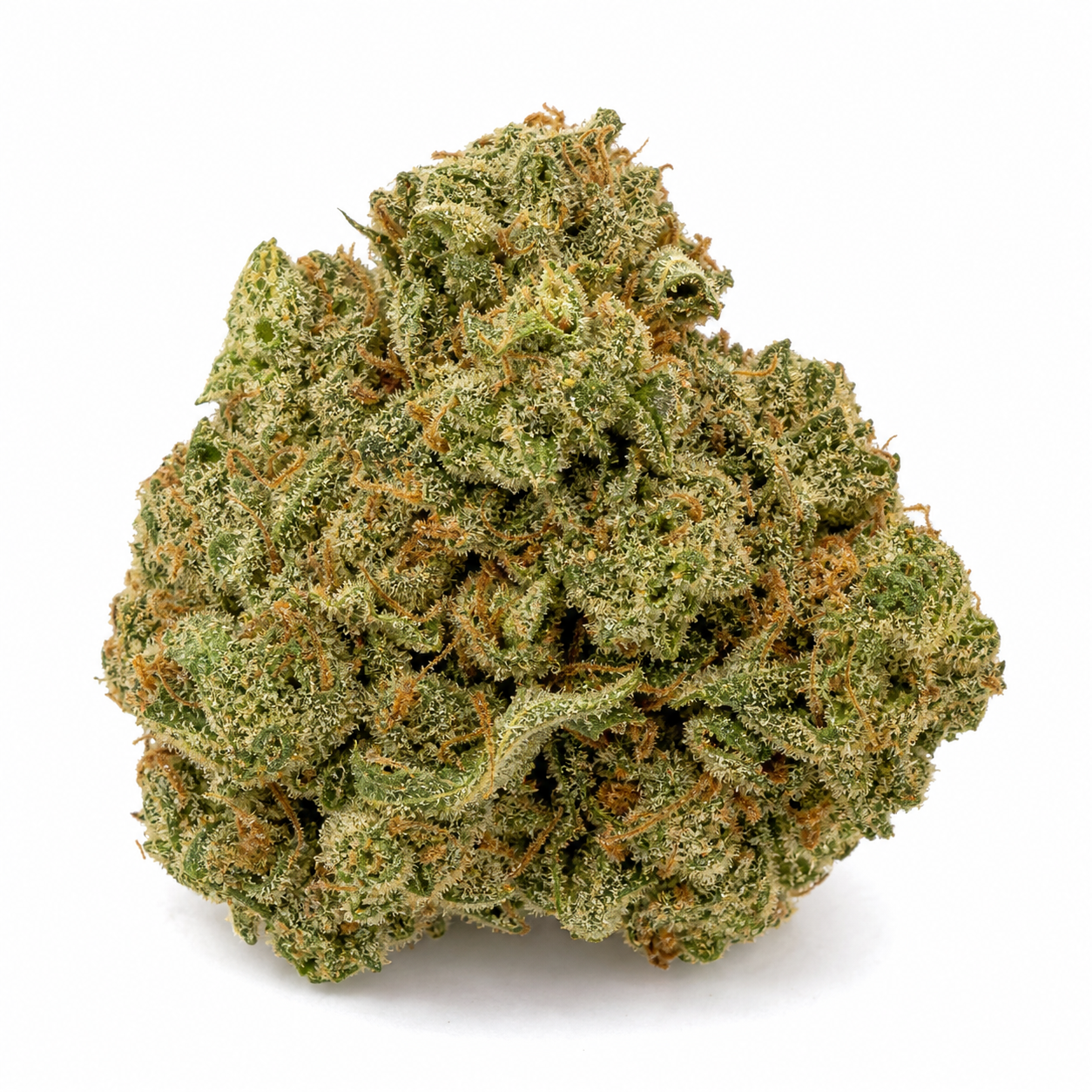 Cogollo de Jack Widow en primer plano, con tonos verdes, filamentos anaranjados y abundantes tricomas claros sobre fondo blanco.