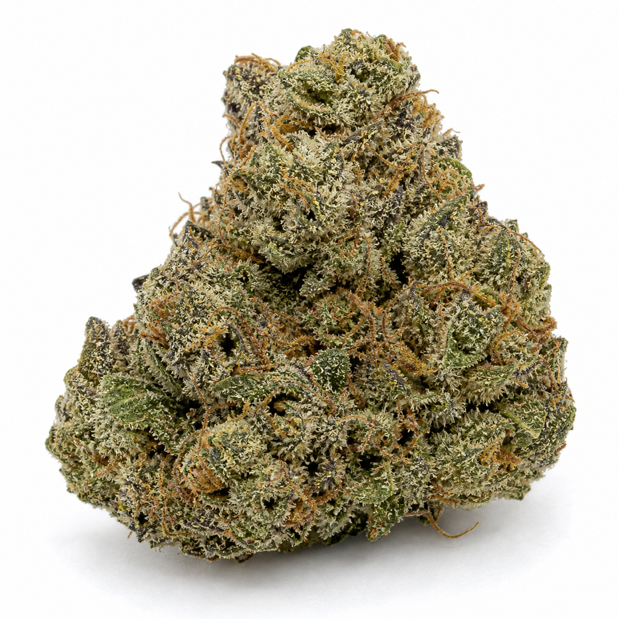 Primer plano de un cogollo de Jack 47 de Sweet Seeds, con tonos verdes, filamentos anaranjados y superficie cubierta de tricomas sobre fondo blanco.