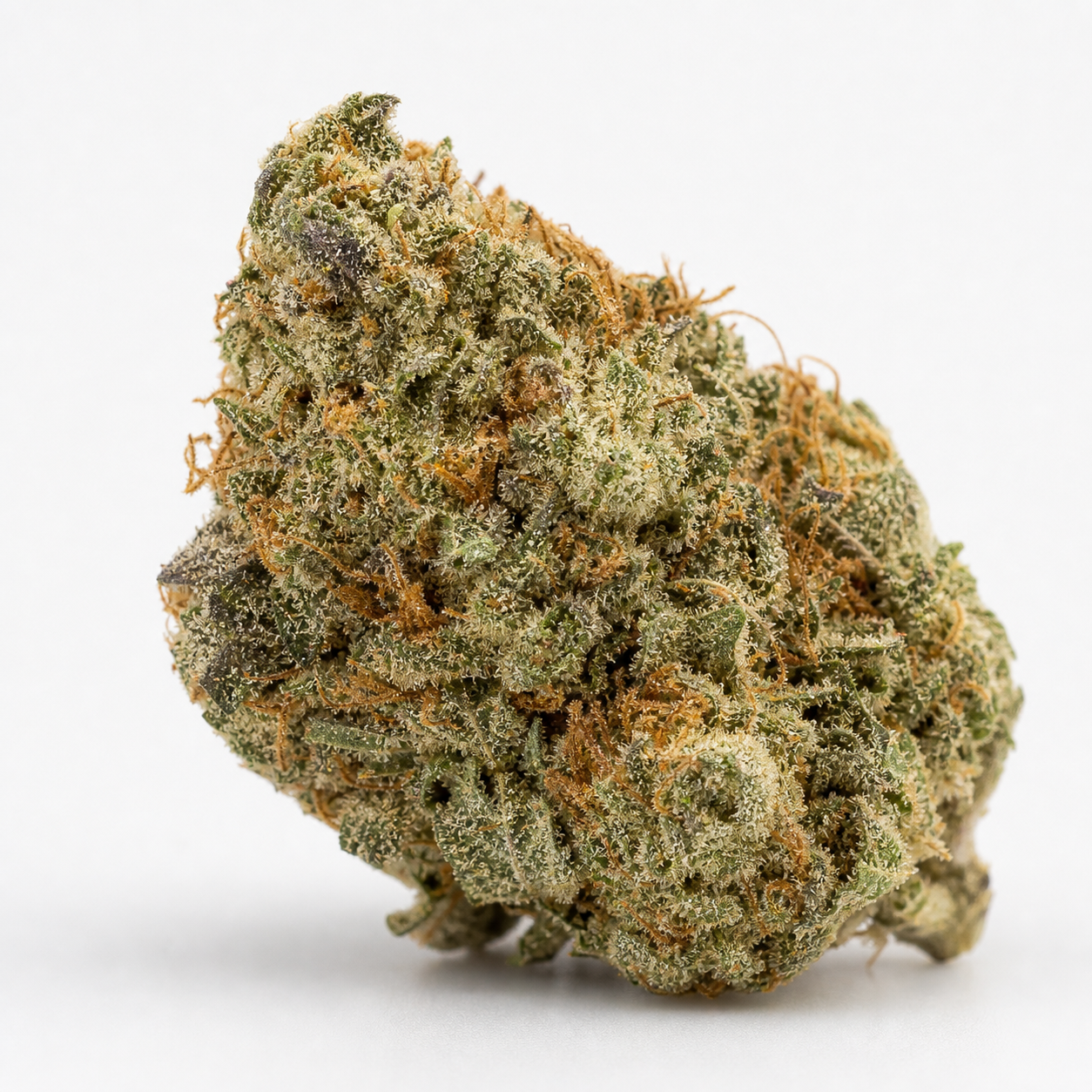 Cogollo de Jelly Donutz Auto de Humboldt Seed Company, con tonos verdes y morados, filamentos anaranjados y cobertura blanquecina sobre fondo blanco.