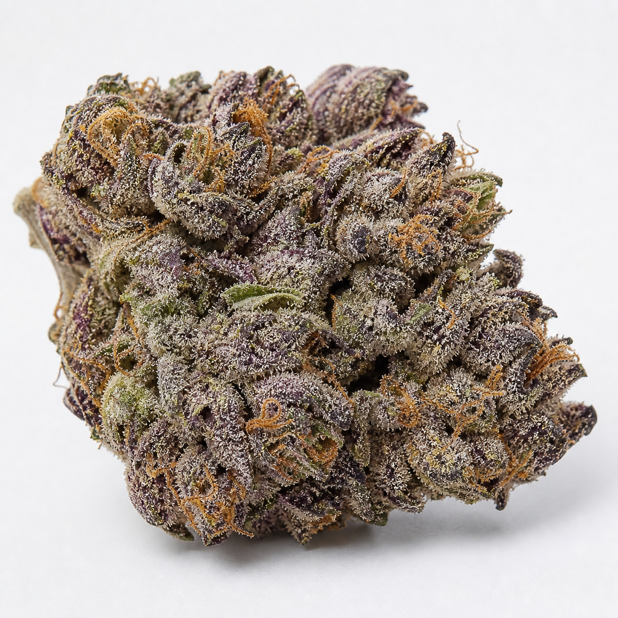 Cogollo de Jet Fuel Mandarine XL Auto® en primer plano, con tonos morados y verdes, pistilos anaranjados y tricomas sobre fondo blanco.