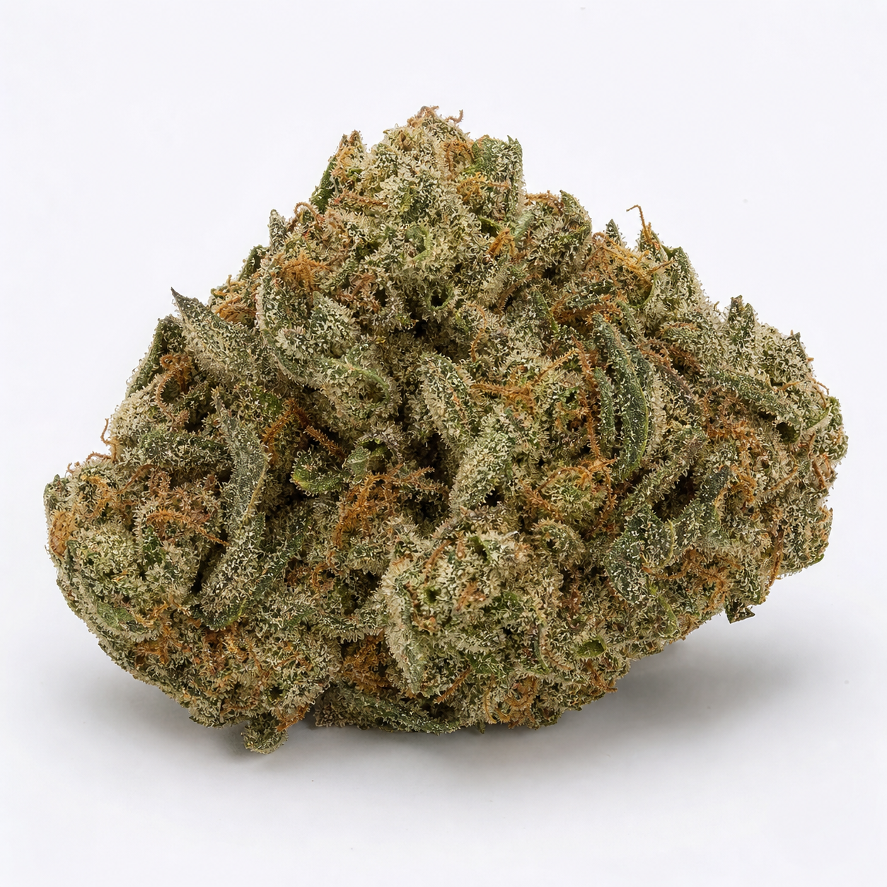 Cogollo de Jock Horror Auto de Nirvana Seeds, ancho y compacto, con hojas verdes, filamentos anaranjados y cobertura blanquecina.