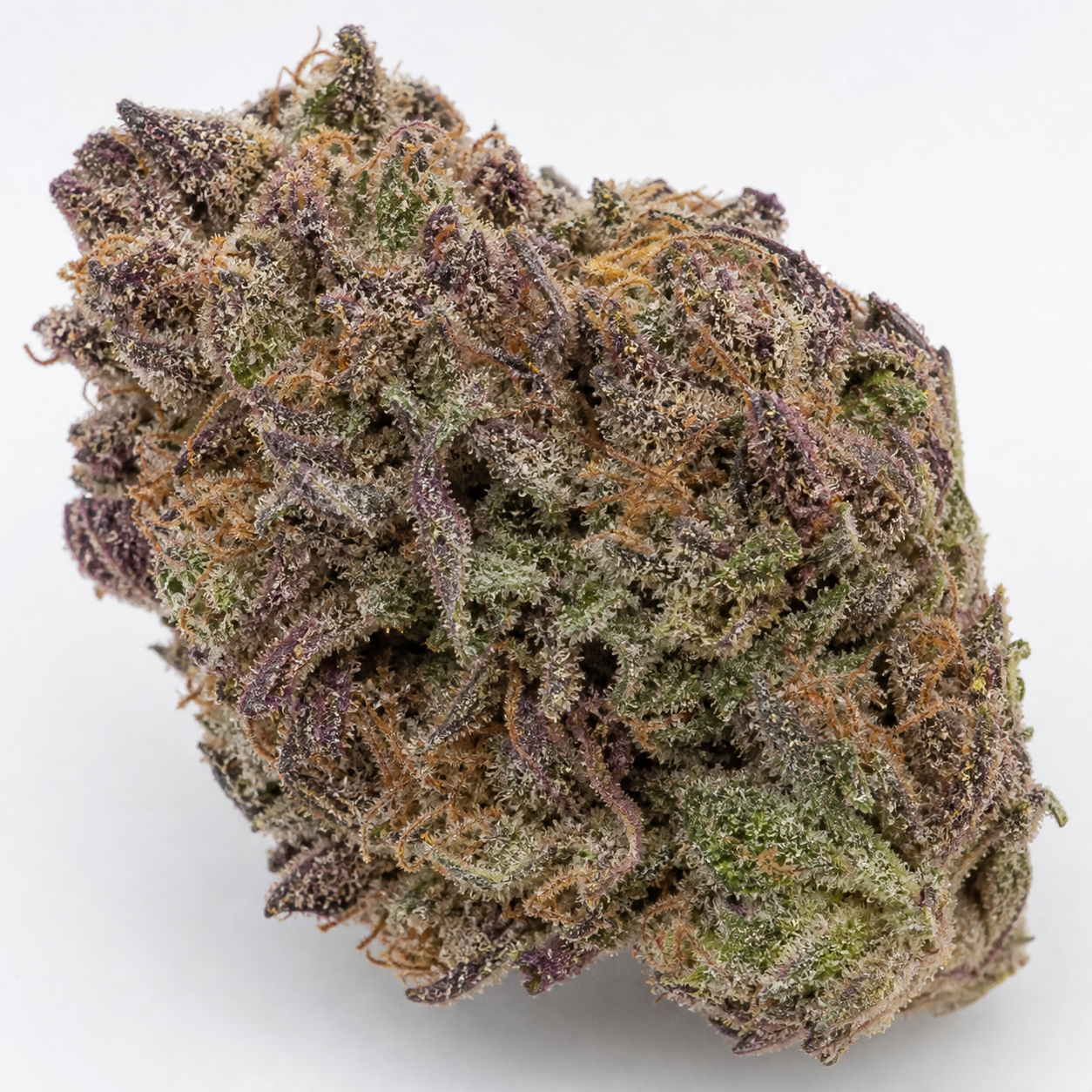 Cogollo de King Kong Auto de Dr. Underground en primer plano, con hojas verdes y moradas, filamentos anaranjados y abundantes tricomas.