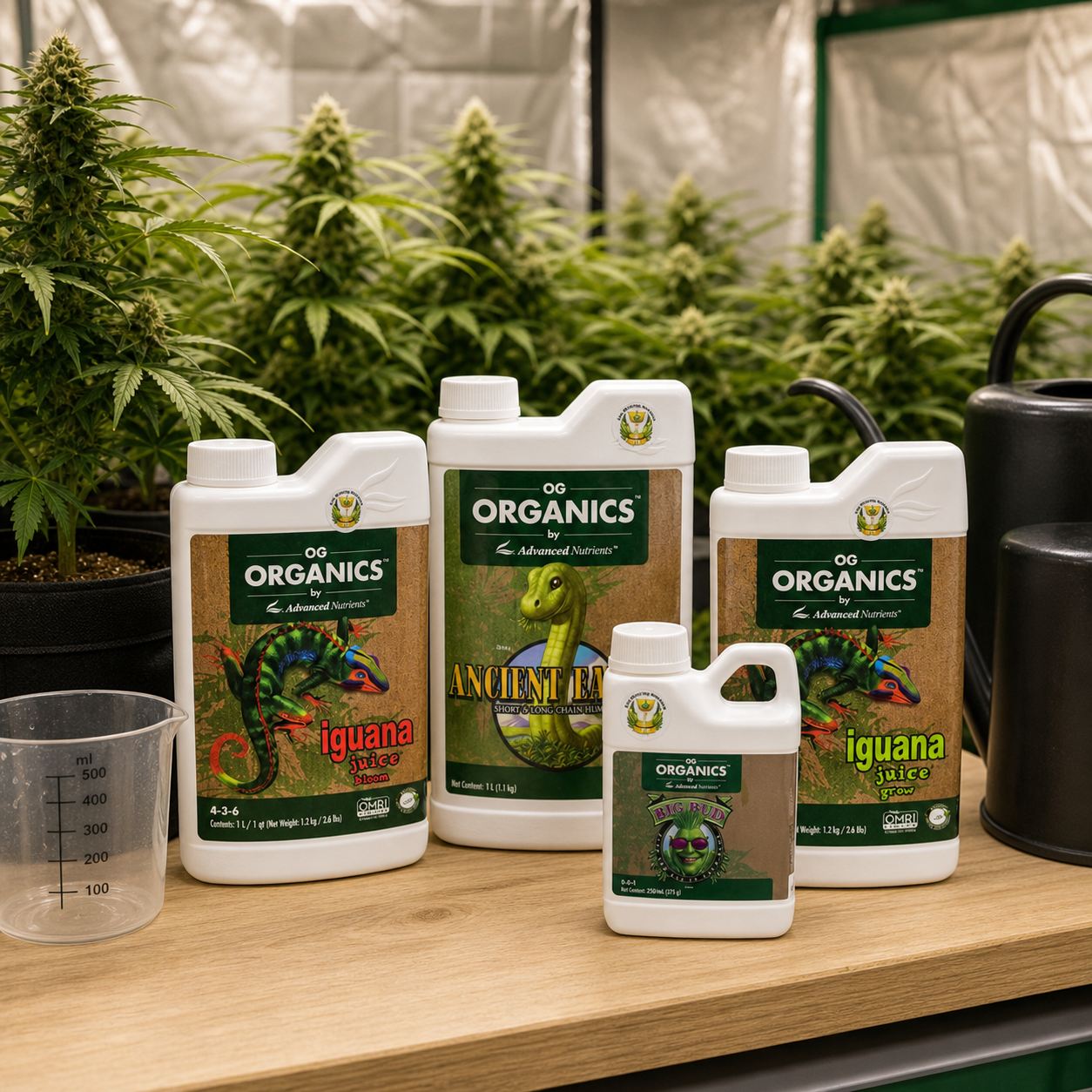 Envases de Advanced Nutrients OG Organics sobre una mesa, con etiquetas Iguana Juice, Ancient Earth y Big Bud, ante plantas de cannabis. Envases de Advanced Nutrients OG Organics sobre una mesa, con etiquetas Iguana Juice, Ancient Earth y Big Bud, ante plantas de cannabis.