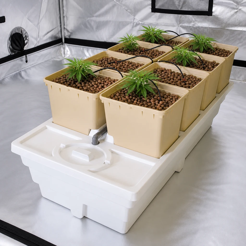 Panda System Hydro con macetas beige, bolas de arcilla, plantas jóvenes y tubos negros sobre un depósito blanco en un armario de cultivo.