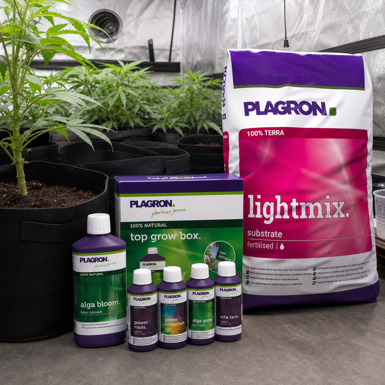 Botes de fertilizantes Plagron junto a una caja Top Grow Box y un saco Lightmix, con plantas en macetas al fondo. Botes de fertilizantes Plagron junto a una caja Top Grow Box y un saco Lightmix, con plantas en macetas al fondo.