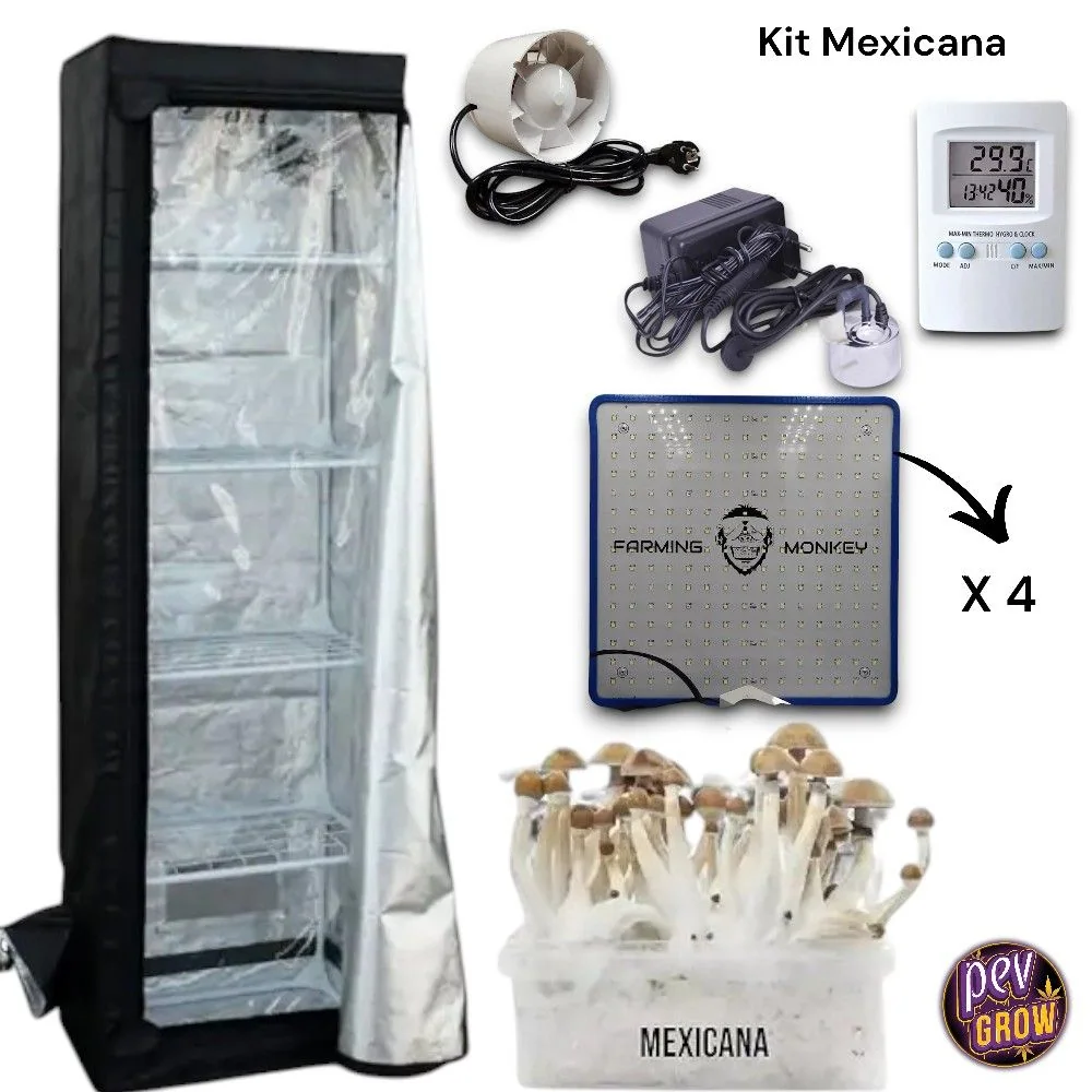 Kit de setas Pro Expert con armario reflectante, ventilador, termohigrómetro, panel LED marcado «x 4» y recipiente con setas Mexicana.