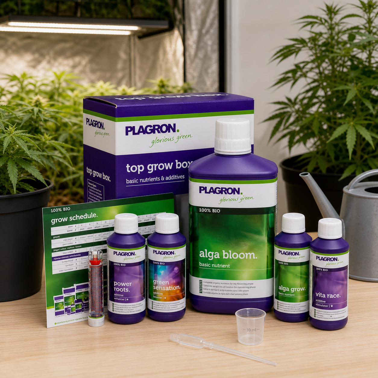 Kit Top Grow Box Bio Plagron con botellas de nutrientes, tabla de cultivo y accesorios de medición sobre una mesa junto a plantas. Kit Top Grow Box Bio Plagron con botellas de nutrientes, tabla de cultivo y accesorios de medición sobre una mesa junto a plantas.