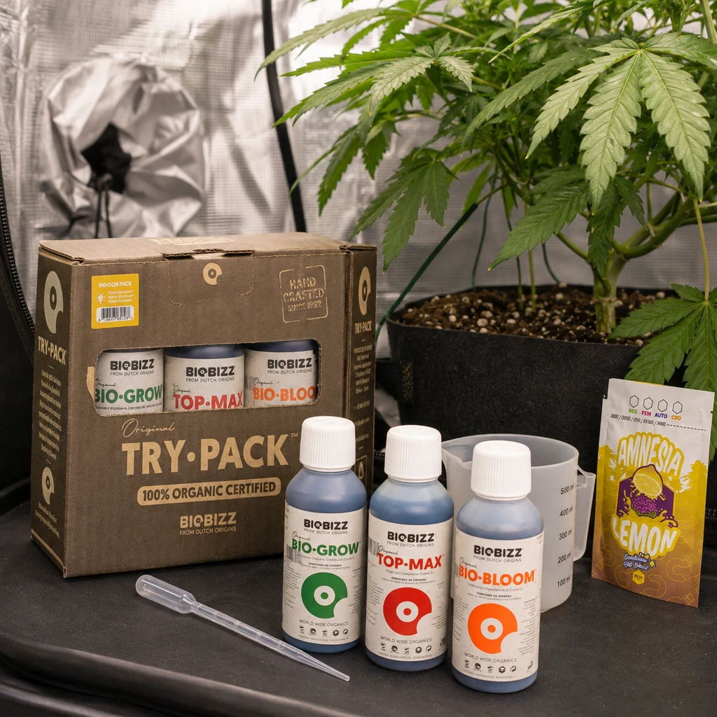 Escena generada del kit Biobizz Try-Pack con caja, botes Bio-Grow, Top-Max y Bio-Bloom, pipeta, jarra y sobre junto a una planta. Escena generada del kit Biobizz Try-Pack con caja, botes Bio-Grow, Top-Max y Bio-Bloom, pipeta, jarra y sobre junto a una planta.