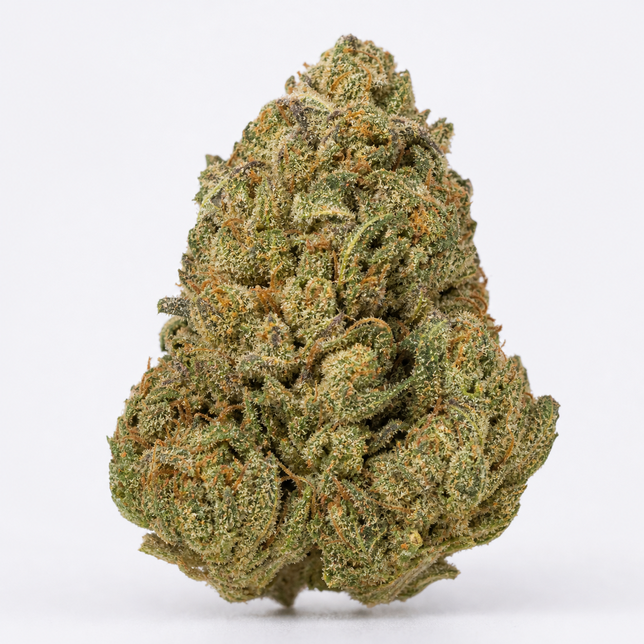 Cogollo de Larry OG de forma cónica, verde con pistilos anaranjados y una fina cobertura de tricomas, sobre fondo blanco.