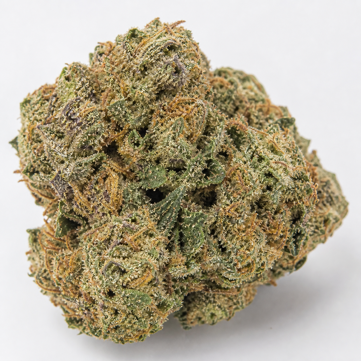 Cogollo de Lavender Best en primer plano, con hojas verdes y tonos morados, filamentos anaranjados y superficie cubierta de tricomas.