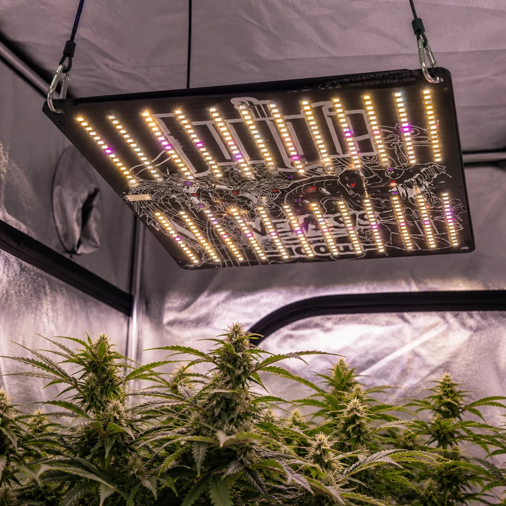 Panel LED Jungle Jackson Nemesis encendido y suspendido sobre plantas de cannabis con flores dentro de un armario de paredes reflectantes.