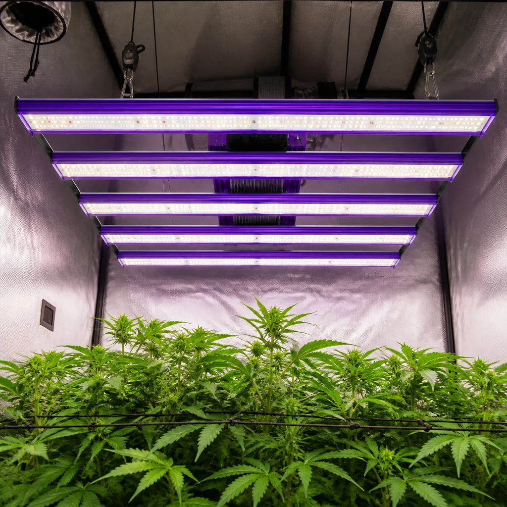 Panel LED Lumatek Zeus 465W PRO 2.9 con barras encendidas, suspendido sobre plantas de cannabis con una malla en un armario reflectante.