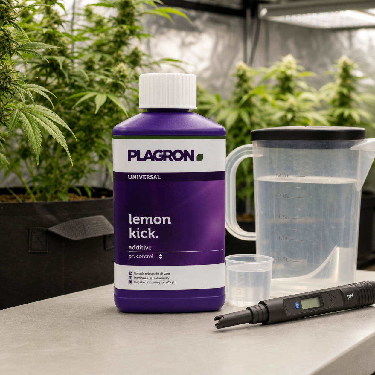 Botella morada de Plagron Lemon Kick junto a una jarra con agua, un vaso dosificador y un medidor de pH, con plantas al fondo. Botella morada de Plagron Lemon Kick junto a una jarra con agua, un vaso dosificador y un medidor de pH, con plantas al fondo.