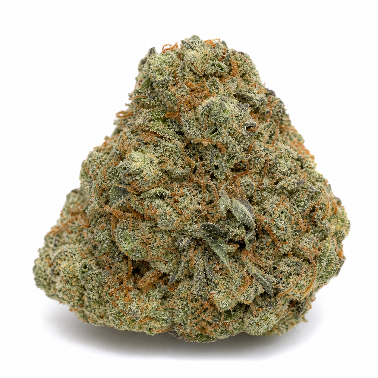 Cogollo de Lemon OG Feminizada de 00 Seeds, de forma compacta, verde con filamentos anaranjados y superficie cristalina sobre fondo blanco.