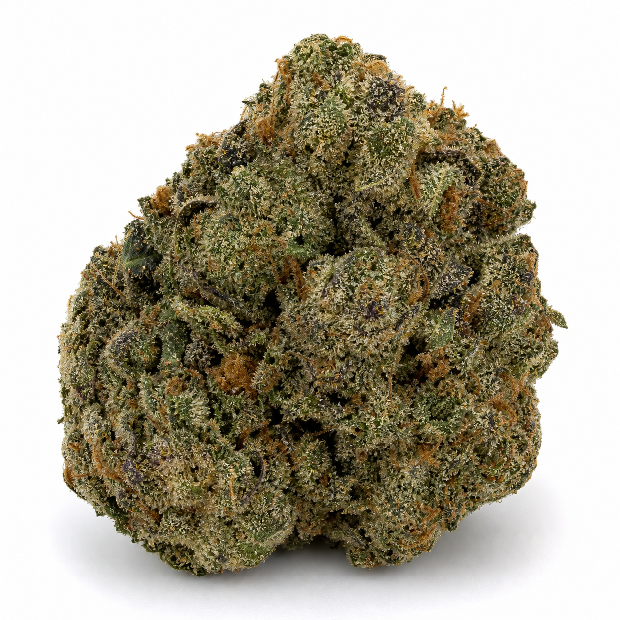 Cogollo de Lemon OG Haze Auto en primer plano sobre fondo blanco, con tonos verdes oscuros, filamentos naranjas y tricomas claros.