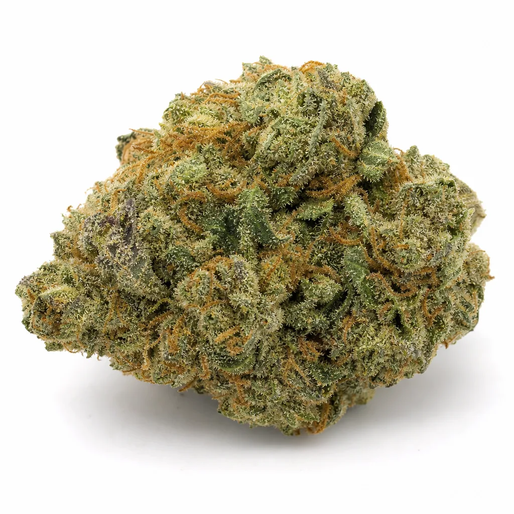 Cogollo de Lime Skunk Auto en primer plano sobre fondo blanco, de forma ancha e irregular, con tonos verdes y filamentos anaranjados.