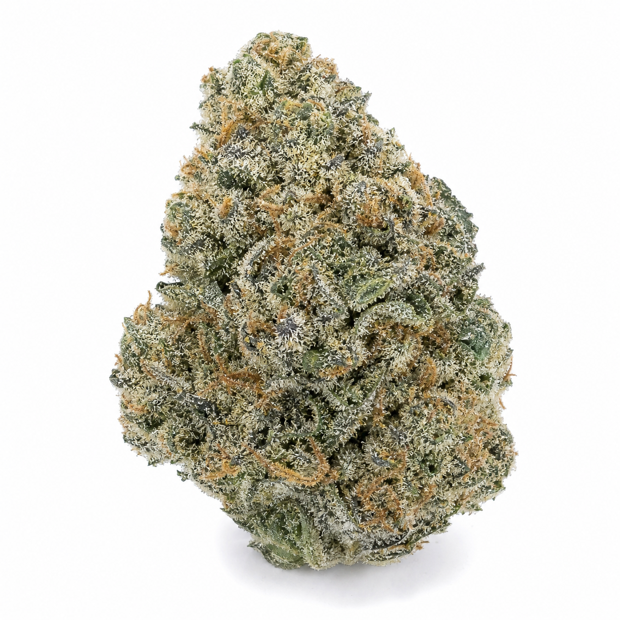 Cogollo de Loveryder Auto de Bulk Seeds sobre fondo blanco, con forma cónica, tonos verdes, filamentos anaranjados y abundantes tricomas.