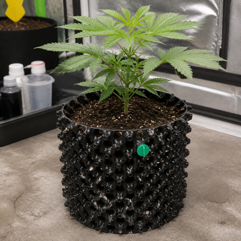 Maceta negra del Kit Air-Pot 3L, con paredes de relieves perforados y cierre verde, que contiene sustrato y una planta joven de cannabis. Maceta negra del Kit Air-Pot 3L, con paredes de relieves perforados y cierre verde, que contiene sustrato y una planta joven de cannabis.
