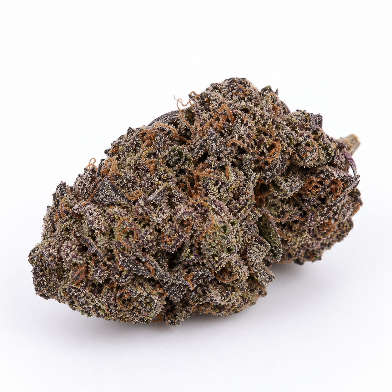 Cogollo de Malawi Feminizada de ACE Seeds sobre fondo blanco, con tonos verdes y morados oscuros, pistilos naranjas y tricomas claros.