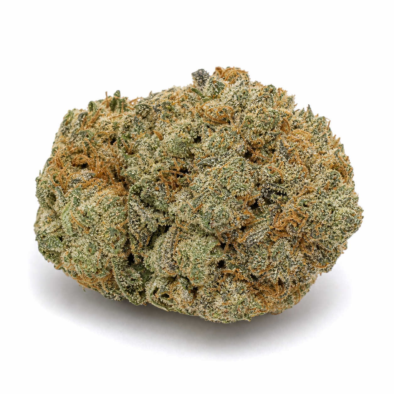 Cogollo de Malawi Regular de ACE Seeds, de forma redondeada, con superficie verde cubierta de pequeños cristales y filamentos anaranjados.