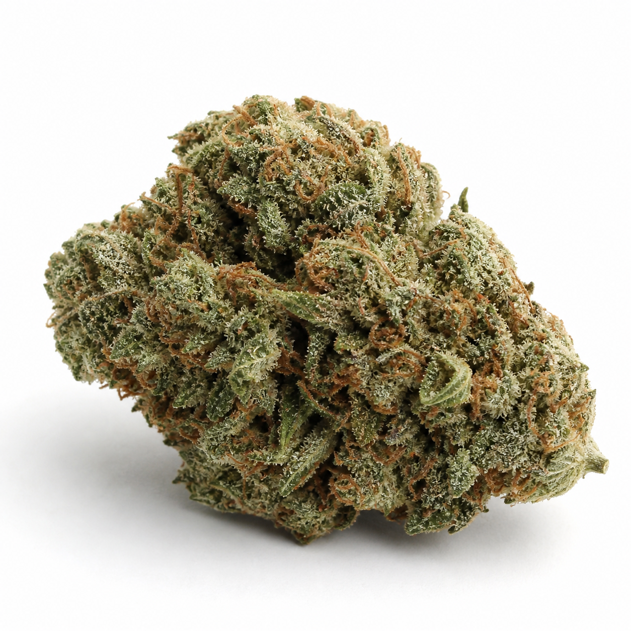 Cogollo de Mamba Negra Feminizada de Blimburn Seeds, de forma compacta, con hojas verdes y filamentos anaranjados sobre fondo blanco.