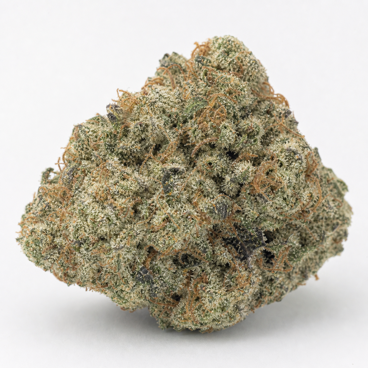 Cogollo de Mango OG Auto en primer plano, de forma compacta y redondeada, con tonos verdes, zonas oscuras y pistilos anaranjados.