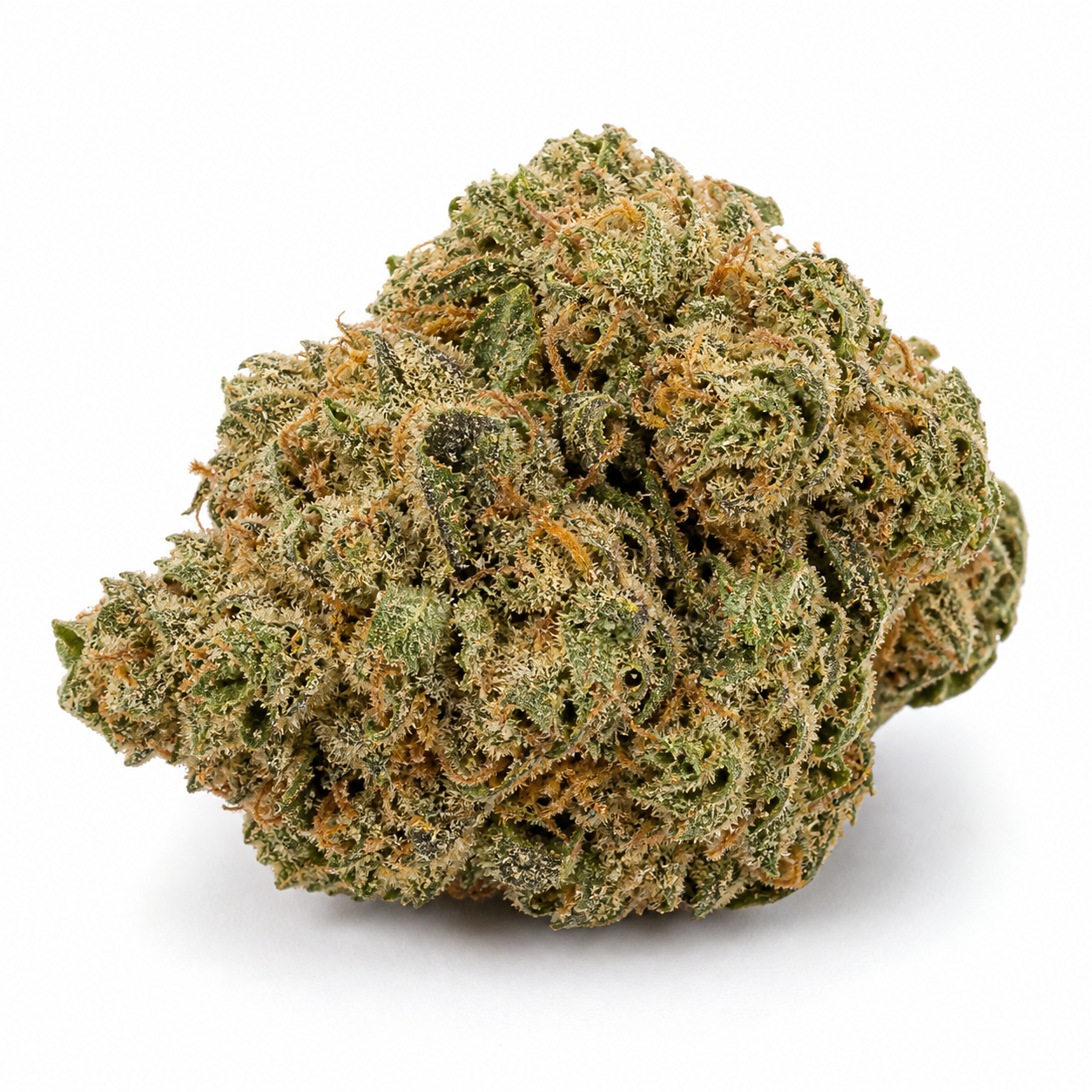 Cogollo de Master Kush Grand Feminizada sobre fondo blanco, con forma compacta e irregular, hojas verdes y filamentos anaranjados.