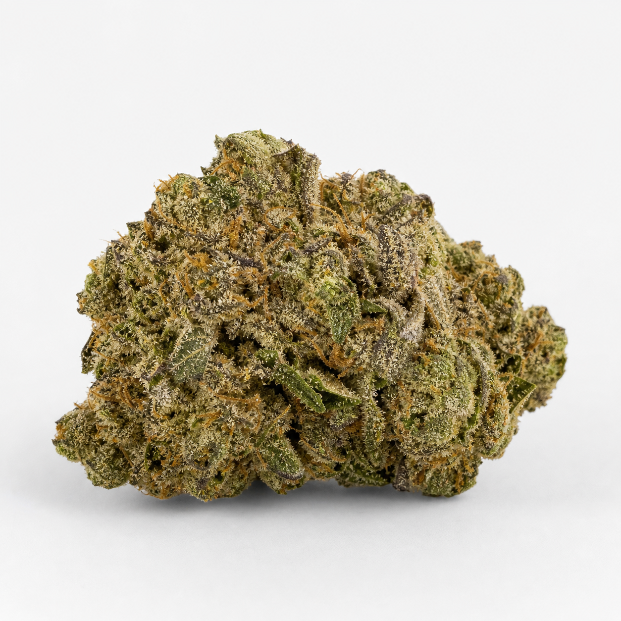 Cogollo de Medical 49 CBD+ ancho e irregular, con hojas verdes y violáceas, filamentos anaranjados y cobertura blanquecina sobre fondo blanco.