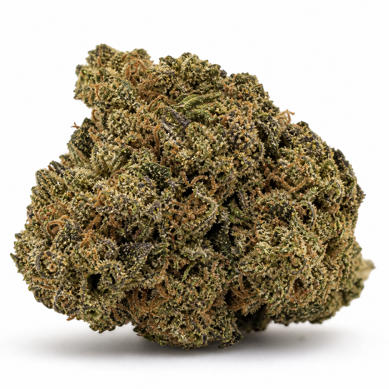 Cogollo de Medical Mass de Royal Queen Seeds, compacto y redondeado, con tonos verdes, zonas oscuras y filamentos anaranjados sobre fondo blanco.