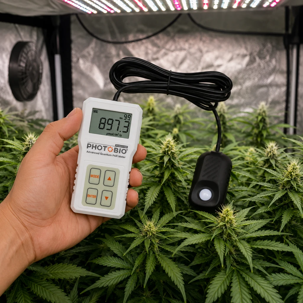 Escena generada de una mano sosteniendo el medidor PAR Quantum Photobio, con sensor sobre plantas bajo un panel LED.