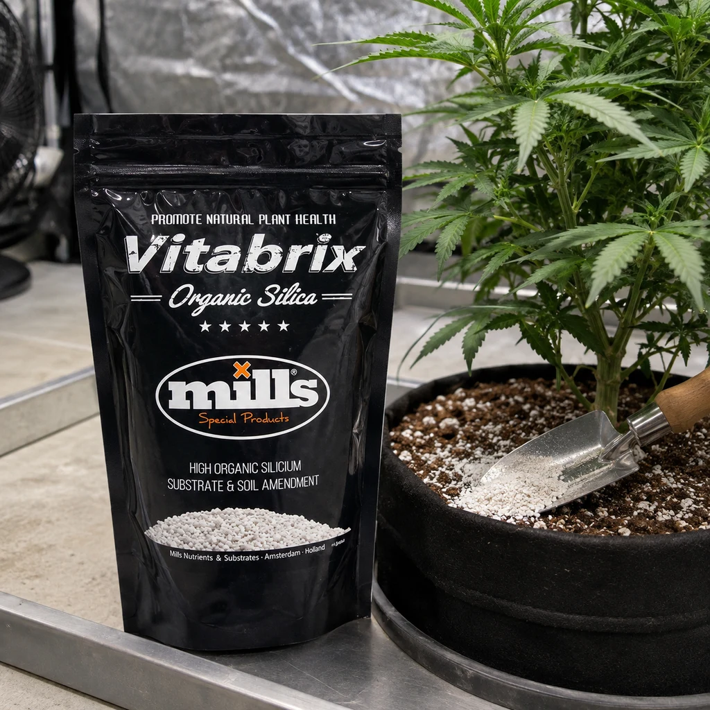 Bolsa negra de Mills Vitabrix junto a una maceta con planta de cannabis y una pala con gránulos blancos sobre el sustrato. Bolsa negra de Mills Vitabrix junto a una maceta con planta de cannabis y una pala con gránulos blancos sobre el sustrato.