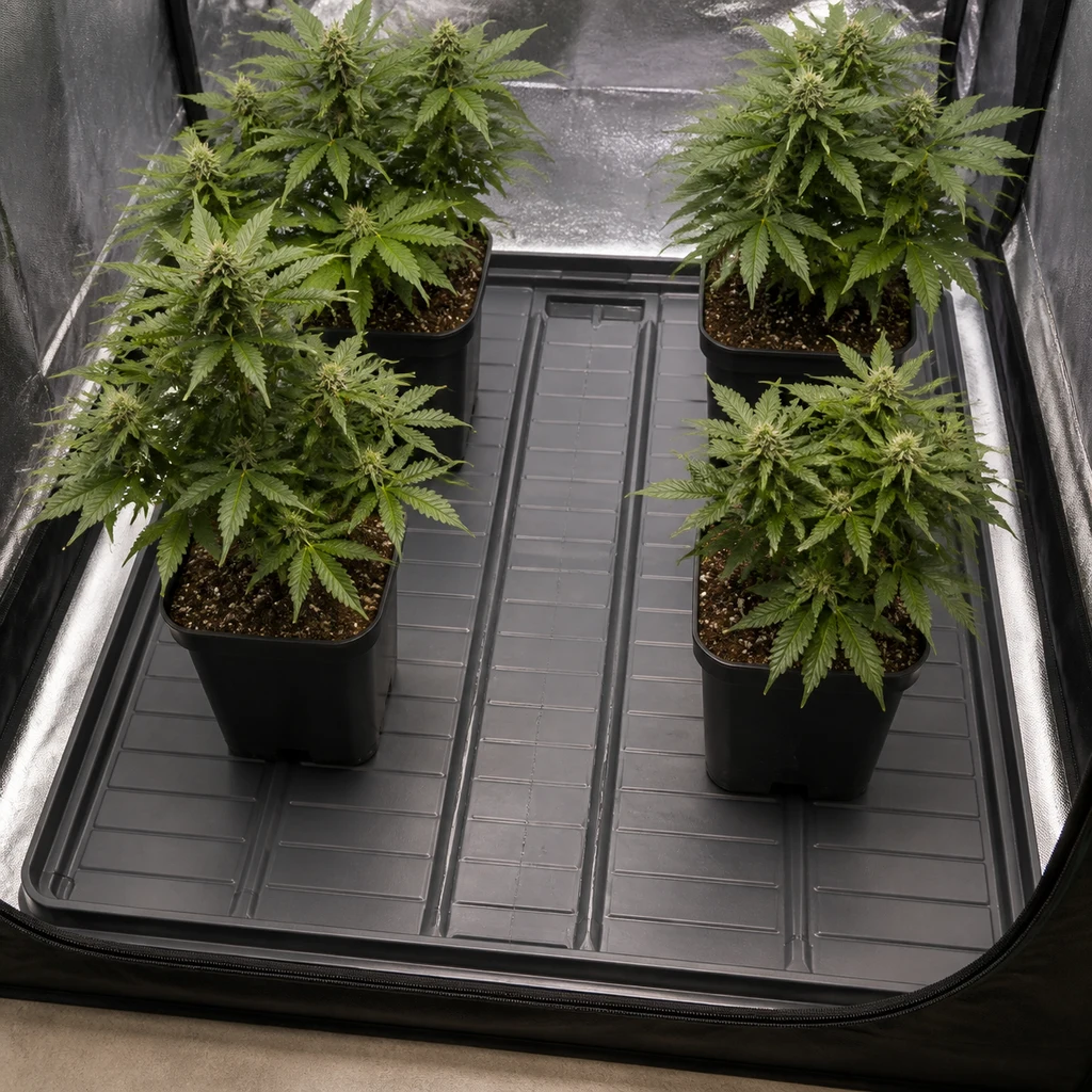 Escena generada de una mesa de cultivo gris con canales y bordes elevados, con cuatro macetas de cannabis dentro de un armario reflectante. Escena generada de una mesa de cultivo gris con canales y bordes elevados, con cuatro macetas de cannabis dentro de un armario reflectante.