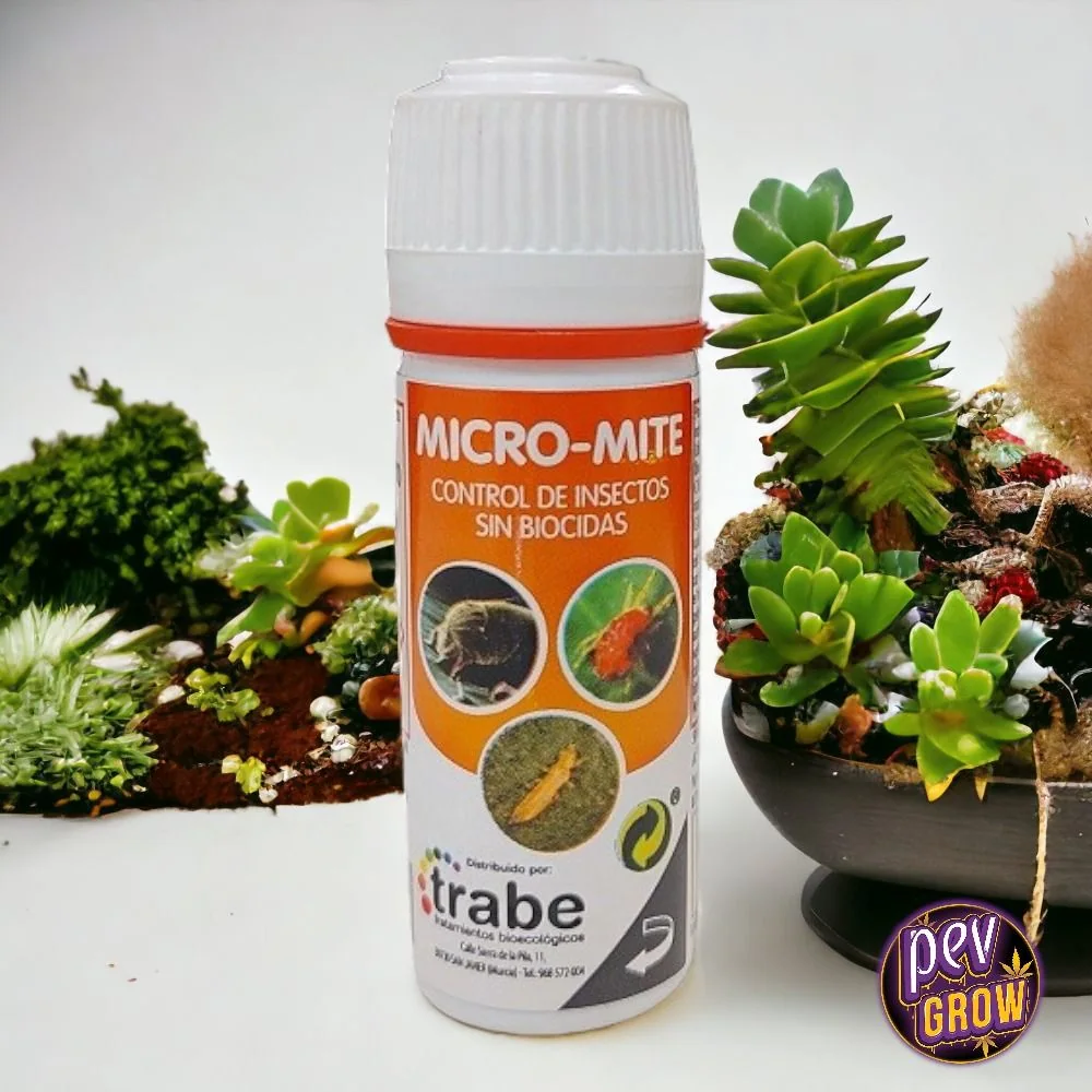 Bote de Micro-Mite Trabe con tapón blanco y etiqueta naranja que indica «Control de insectos sin biocidas», junto a plantas suculentas.