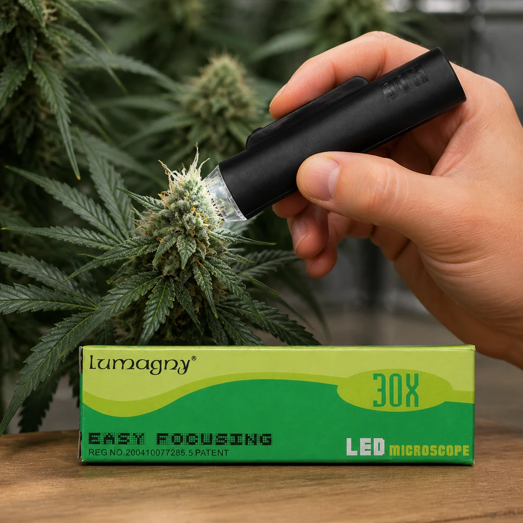 Una mano acerca un microscopio negro a una flor de cannabis; delante aparece la caja verde Lumagny con las indicaciones LED y 30X.
