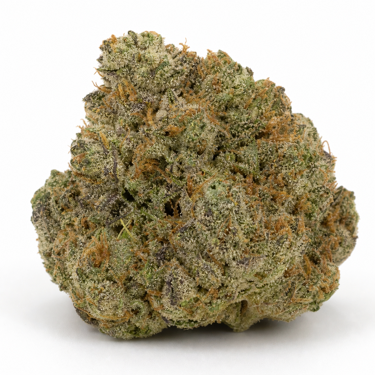 Cogollo de Mimosa Feminizada de 00 Seeds sobre fondo blanco, de contorno ancho, con tonos verdes, zonas moradas y filamentos anaranjados.