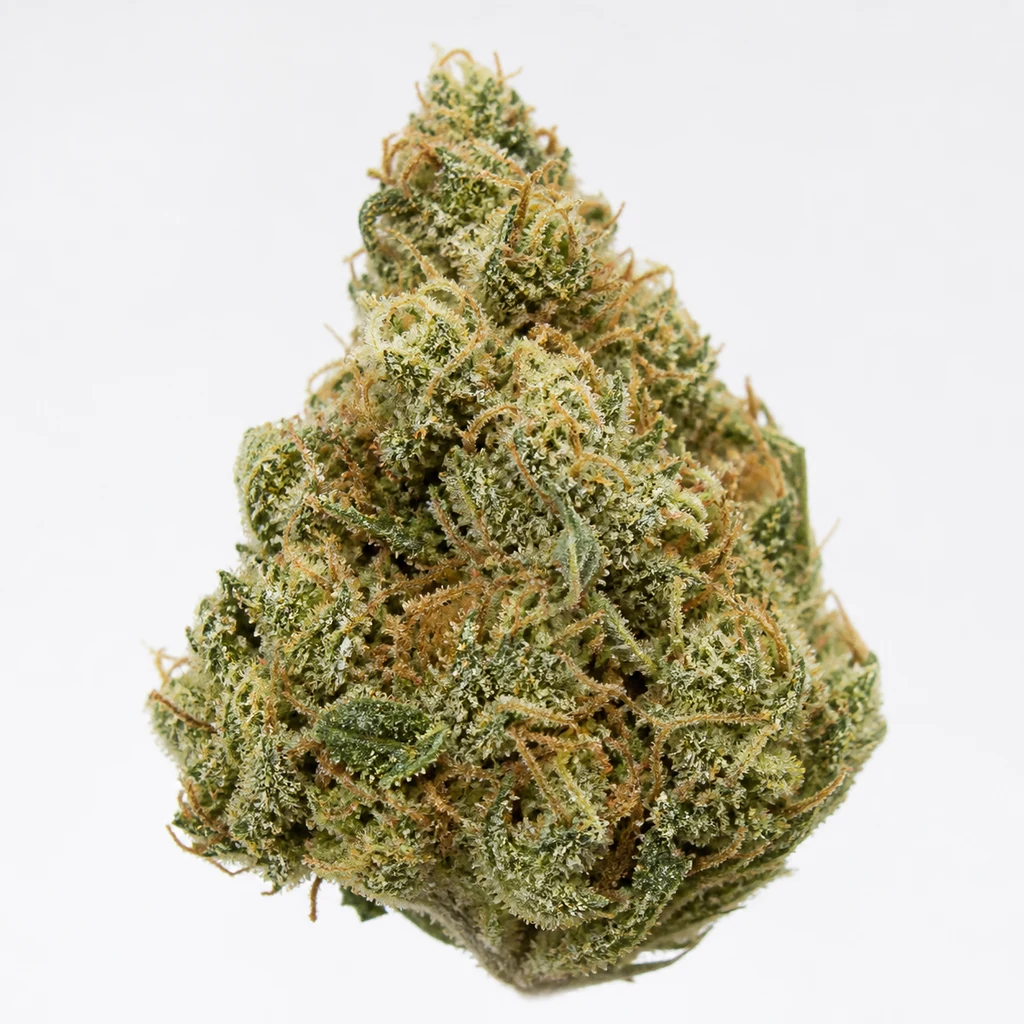 Ilustración de un cogollo verde de forma cónica, con filamentos anaranjados y superficie cristalina, para la ficha de Mother's Finest® Regular.