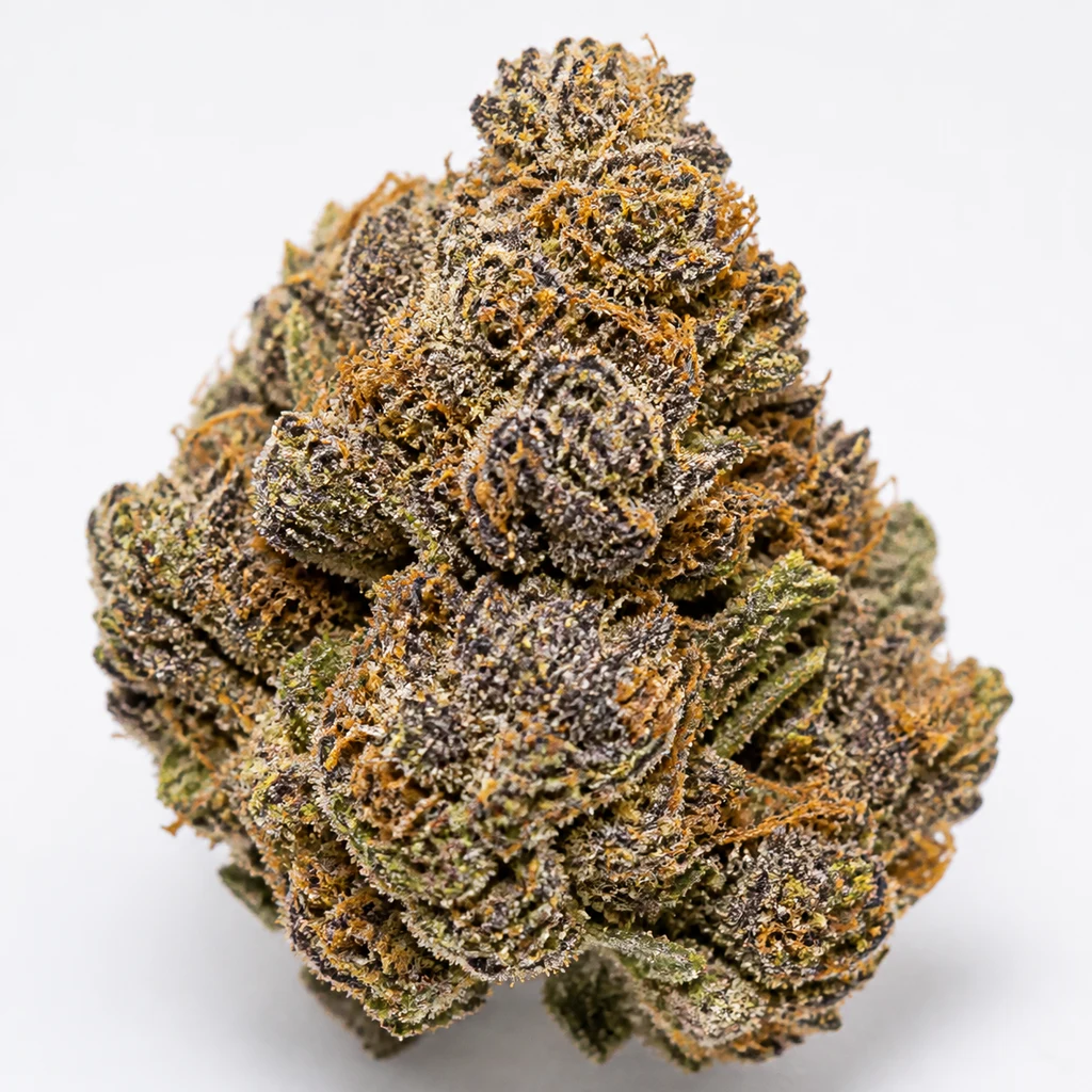 Ilustración de un cogollo de tonos morados y verdes con filamentos anaranjados para la ficha de Mystic Cookies Feminizada – Positronics Seeds.