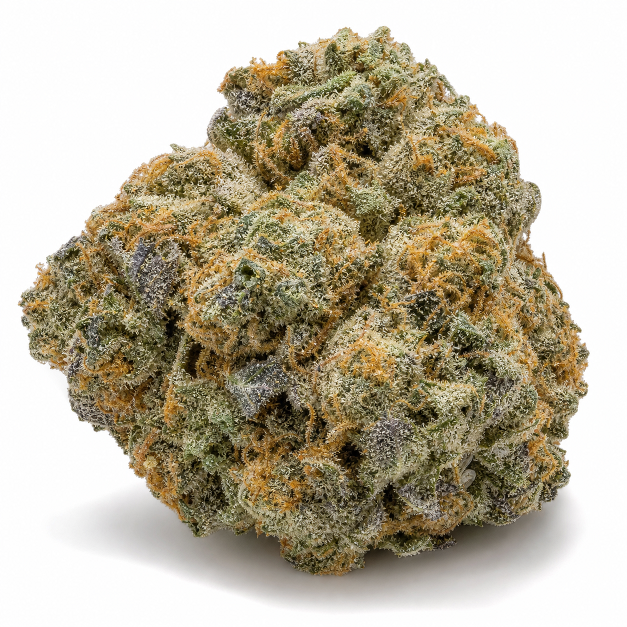 Primer plano de un cogollo de Neville's Haze de Mr. Nice, de forma redondeada, con tonos verdes y morados y filamentos anaranjados.