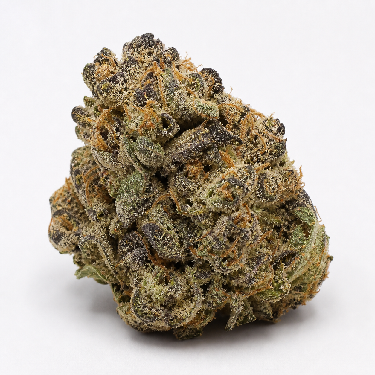 Cogollo de No Name Feminizada de Medical Seeds, con zonas verdes y moradas oscuras, tricomas claros y filamentos naranjas.