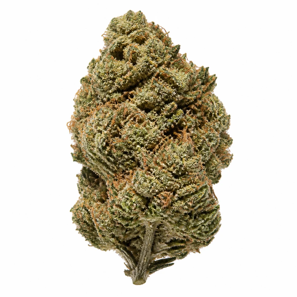 Ilustración de un cogollo alargado verde con pistilos anaranjados para la ficha de Northern Light 5 X Haze Feminizada de Sensi Seeds.